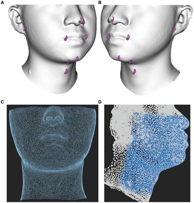 Geometric morphometrics and machine learning from three-dimensional facial scans for difficult mask ventilation prediction